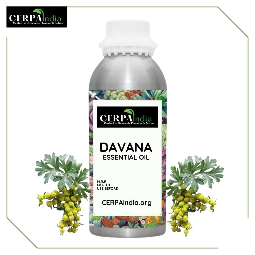 Bottle of Davana Essential Oil with Fresh Davana Flowers