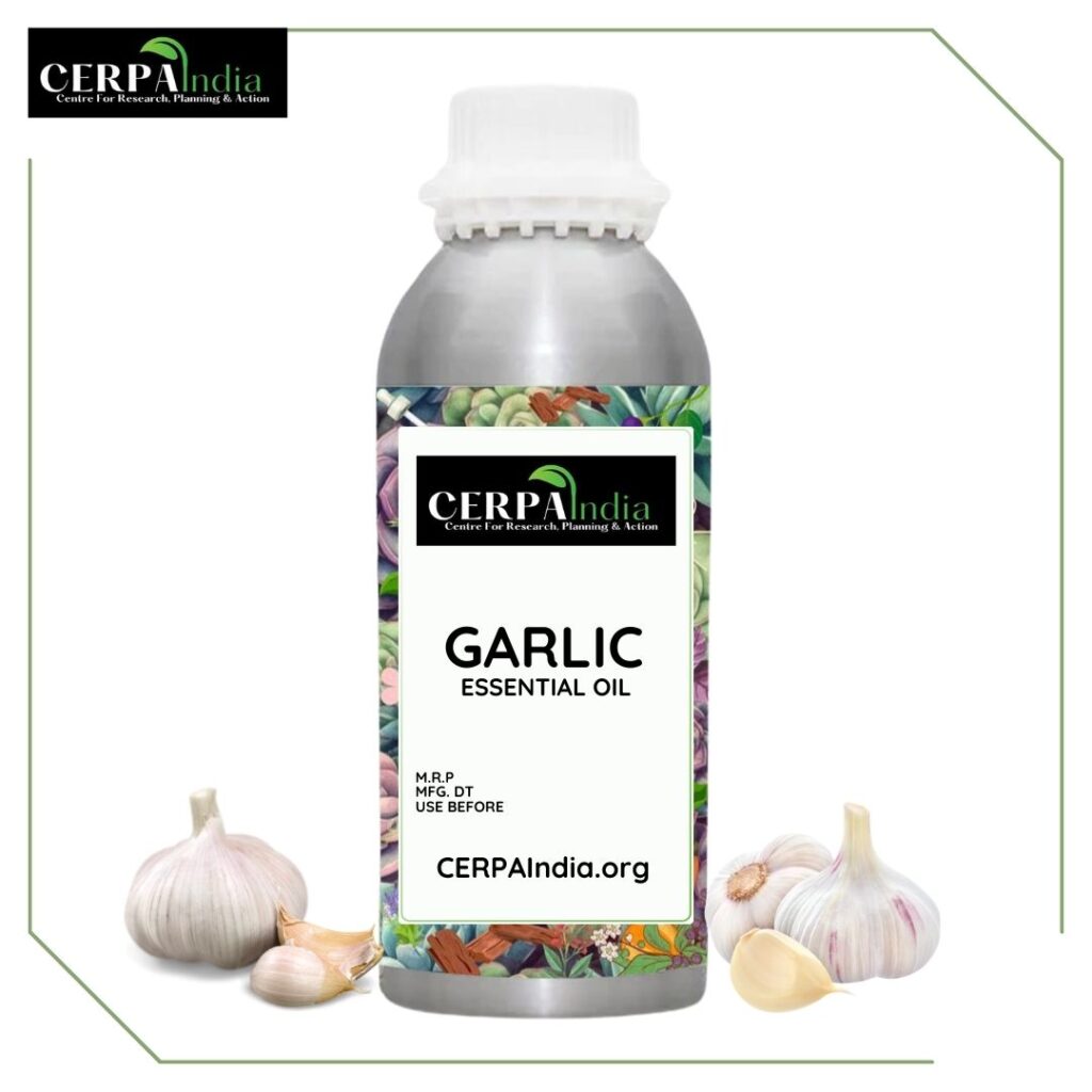 Bottle of Garlic Essential Oil with Fresh Garlic Bulbs