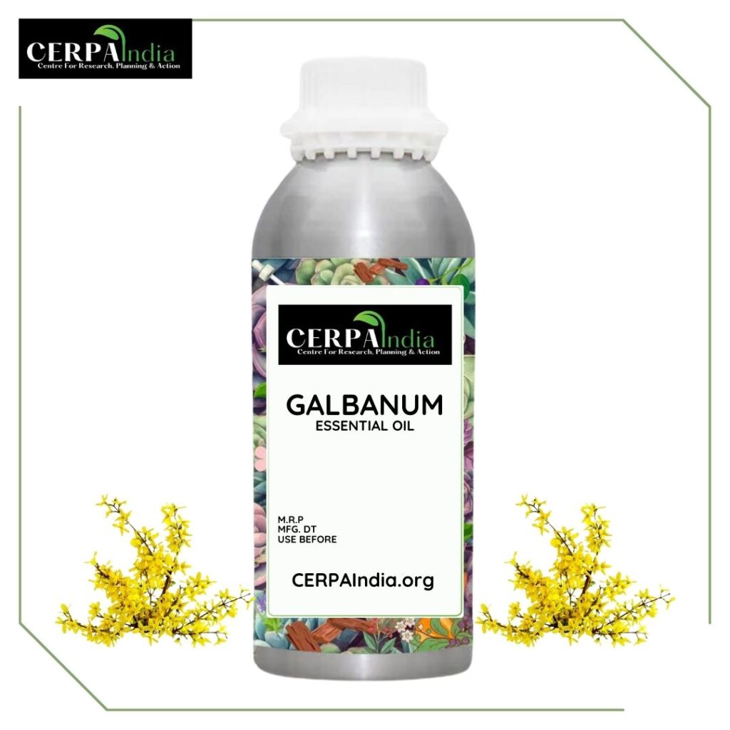 Galbanum Essential Oil Bottle with Galbanum Resin