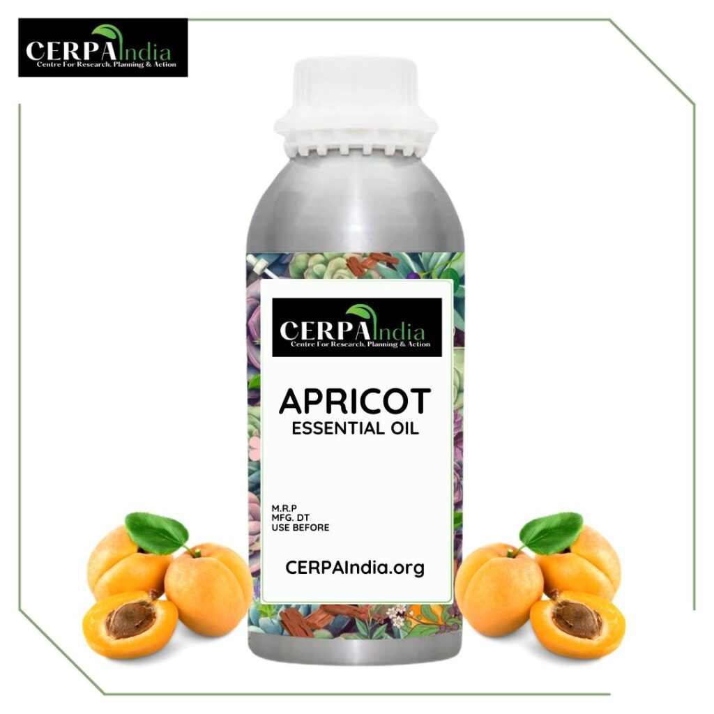 Bottle of Apricot Kernel Oil with Apricot Kernels