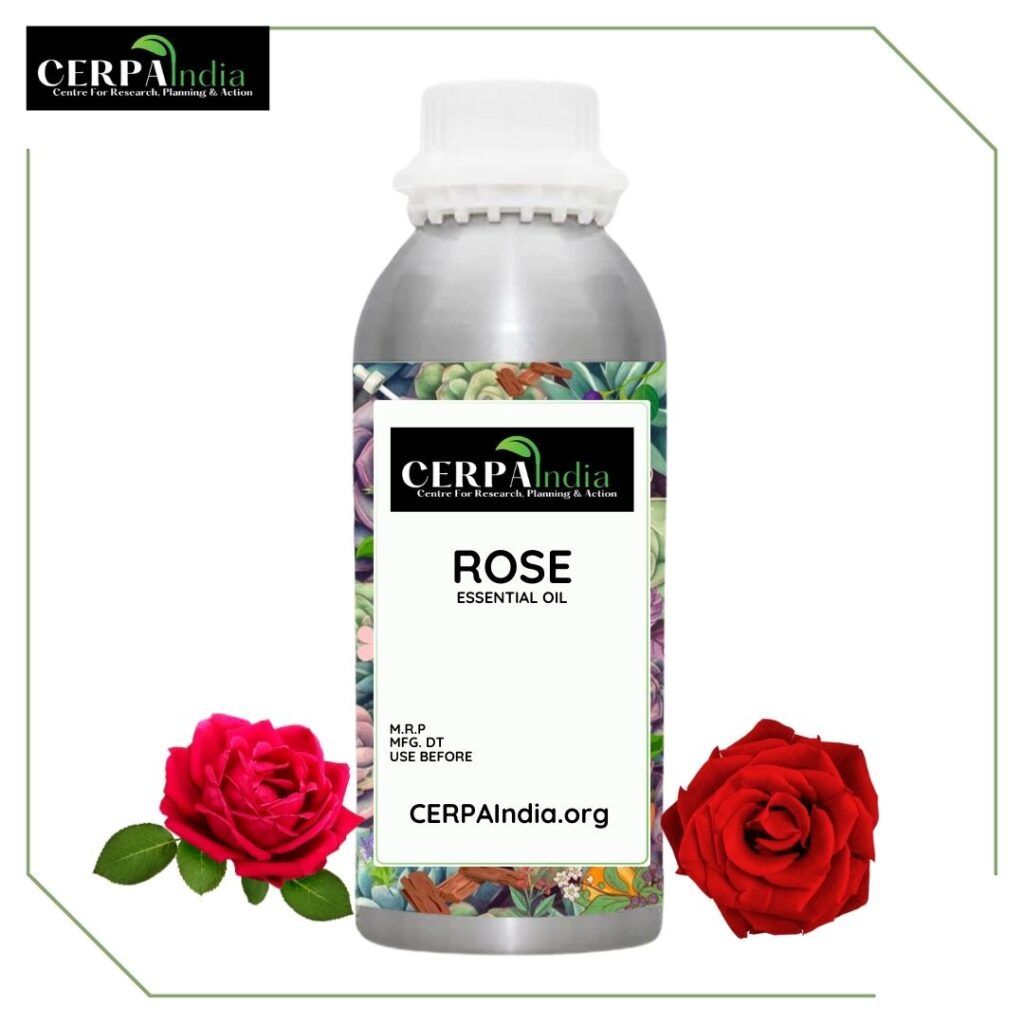 Bottle of Rose Essential Oil with Fresh Rose Petals