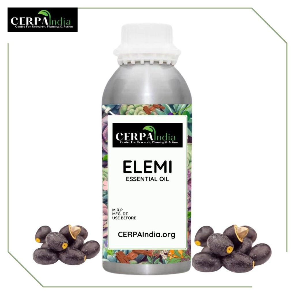 Bottle of Elemi Essential Oil with Fresh Elemi Resin