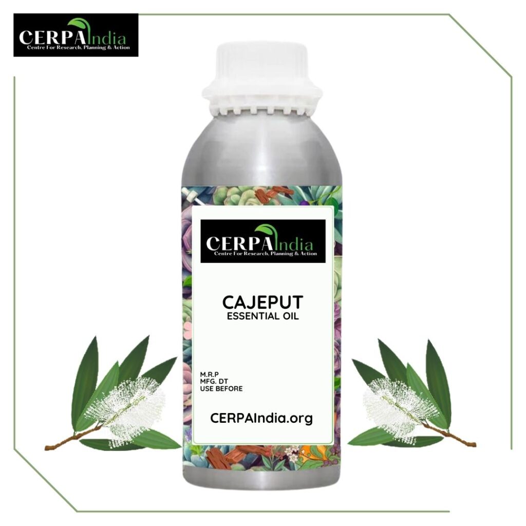 Bottle of Cajeput Essential Oil with Fresh Cajeput Leaves