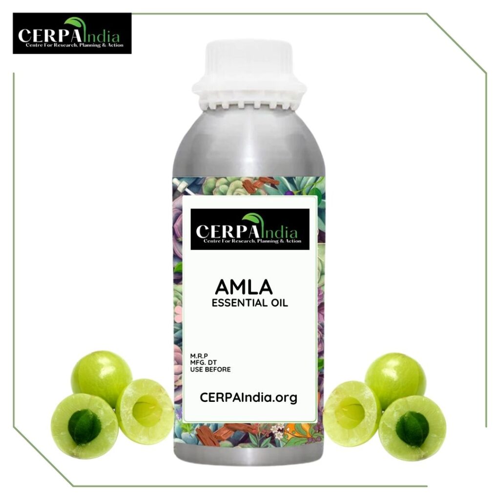 Bottle of Amla Oil with Fresh Amla Fruits