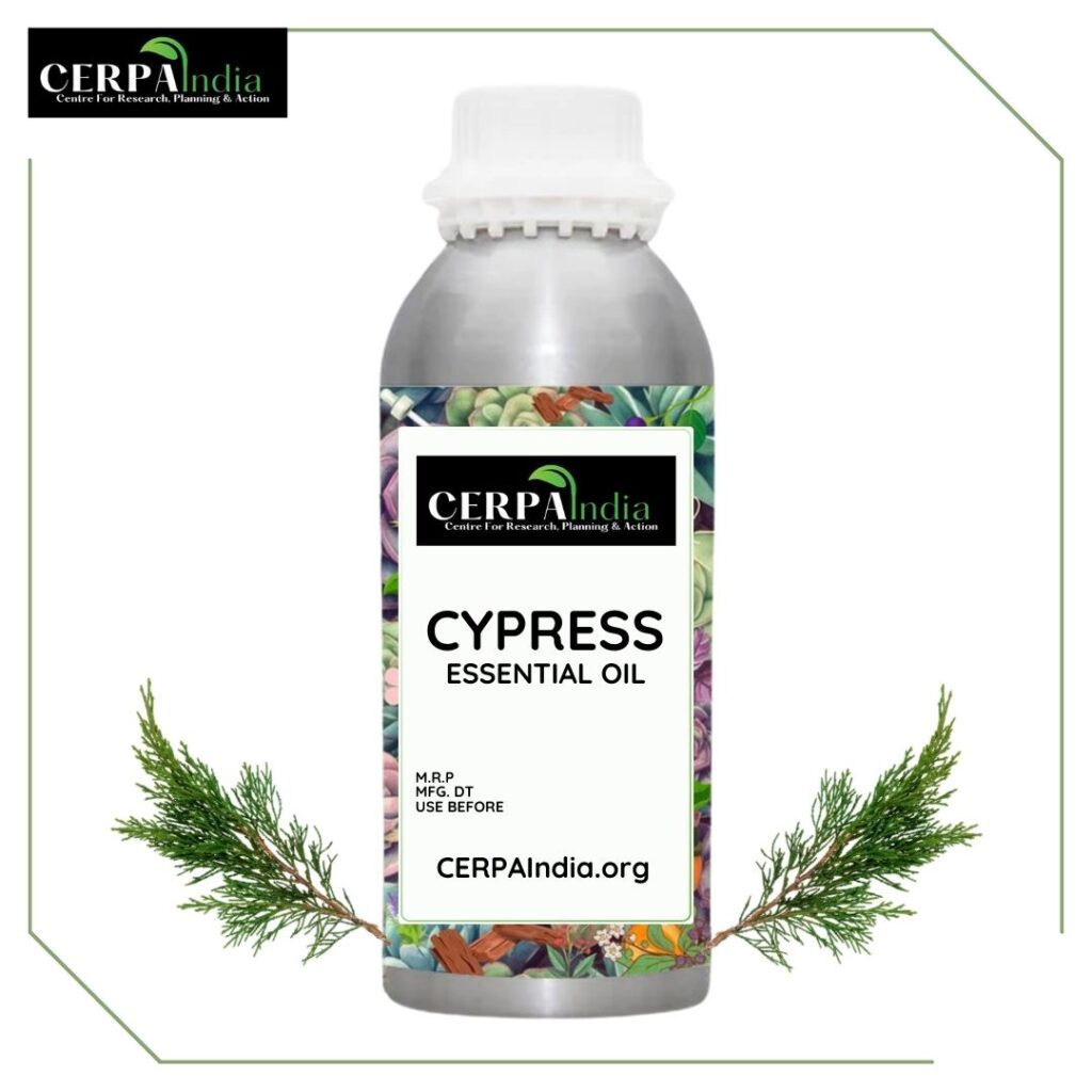 Bottle of Cypress Essential Oil with Fresh Cypress Leaves
